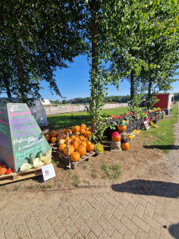 Nieuwe oogst van aardappelen bij Boerderijwinkel Lensink in aantocht.